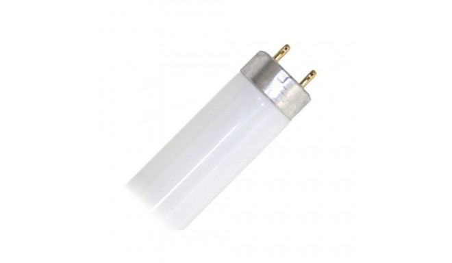 Lamp for insect trap ZAP-40 20W 2 pcs.