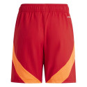Adidas Tiro 24 Competition Jr shorts IQ4776 (152)
