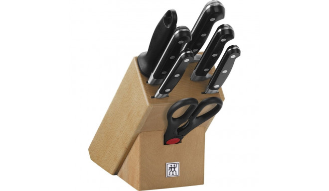 Knife set in block Zwilling Professional S