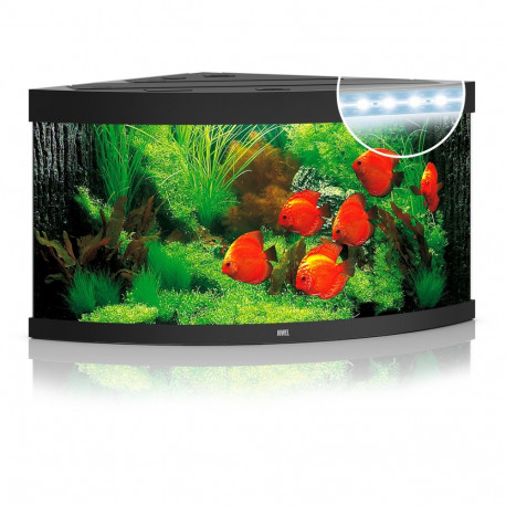 Akvariumas Trigon LED 350 L juodas