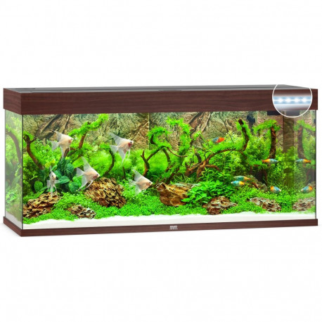 Akvaarium Rio LED 240 L tume puit
