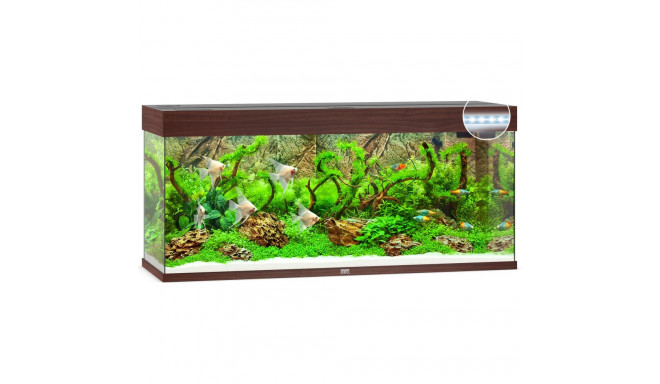 Aquarium Rio LED 240 L dark wood