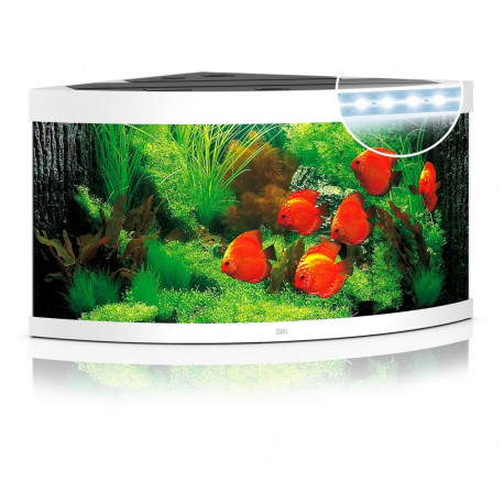 Akvaarium Trigon LED 350 L valge