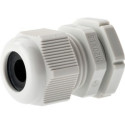 "Axis CABLE GLAND A M20 5PCS"