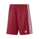 Adidas Squadra 21 Short M GN5771 (XS)