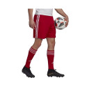 Adidas Squadra 21 Short M GN5771 (XS)
