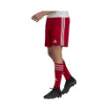 Adidas Squadra 21 Short M GN5771 (XS)