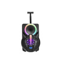 Denver TSP-301 Public Address (PA) speaker Full range