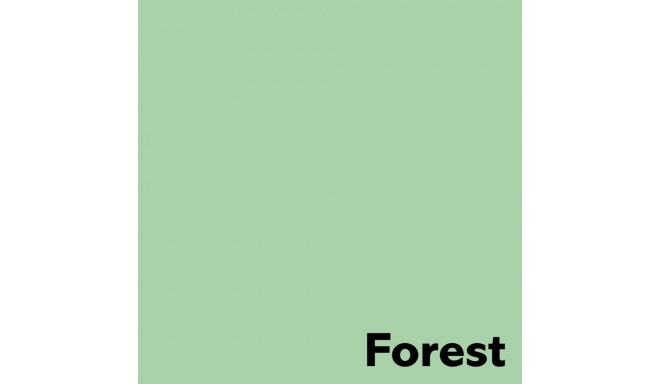 Colored paper A4 160g IMAGE Coloraction no.65 pastel green (Forest) 250 sheets