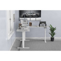 Assman electronic DIGITUS Electric Height Adjustable Desk