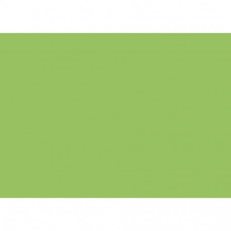 Käsitöökartong 50x70cm 300g mururoheline, Heyda