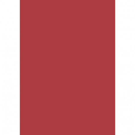 Käsitöökartong 50x70cm 300g tulbipunane, Heyda