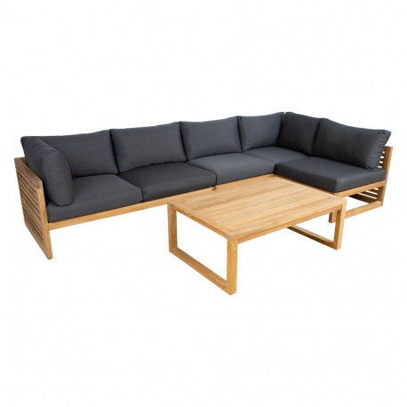 Coffee table SERENITY 120x80xH45cm, teak