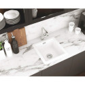 ALPINIA SINK MIXW/ RECT SPT BGA_063M CH