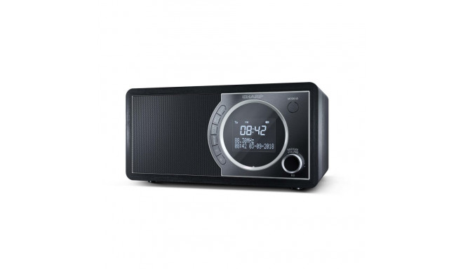 Sharp DR-450 Personal Digital Black, Stainless steel