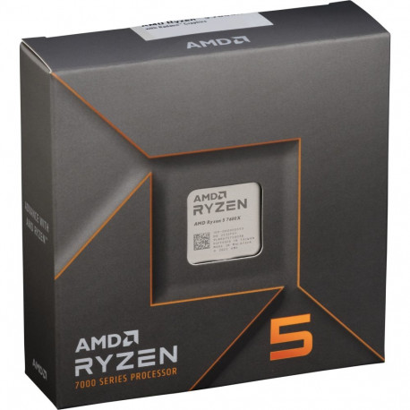 AMD Ryzen 5 7600X protsessor AM5 pesale