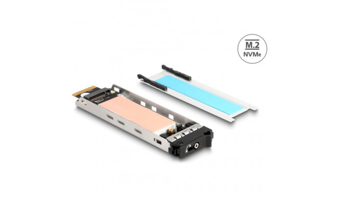 DeLOCK mobile rack insert 1 x M.2 NMVe SSD for 47028