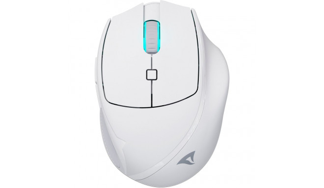 OfficePal M25W, valge