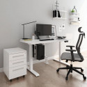 Electric desk frame LOCTEK 3-telescopic 2-motor white