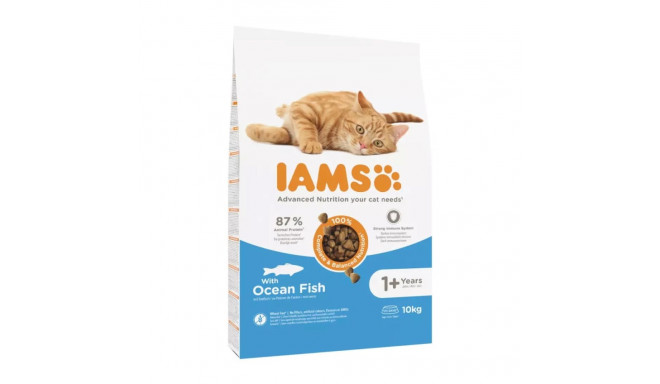 IAMS Täiustatud Toitumine Kass Täiskasvanud Ookeanikala - kuivtoit kassidele - 10 kg