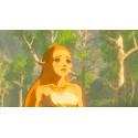 The Legend of Zelda - Breath of the Wild (Switch)
