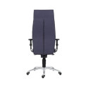 Arvutitool/kontoritool ANTARES SYN 1800  LEI must (kuni 160kg)