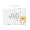 Copy paper A4 80g DATA COPY ColorLok® 500 sheets