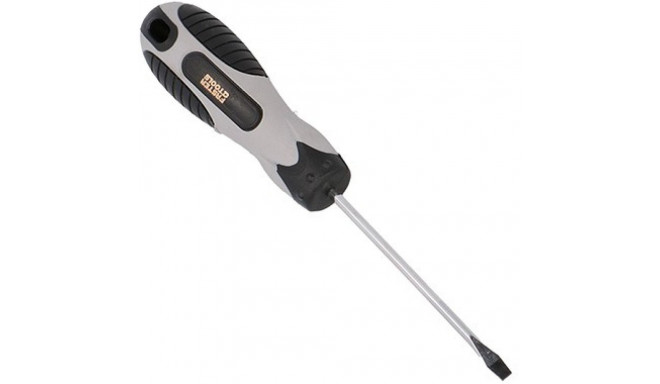 Screwdriver flat 6x100mm FASTER TOOLS