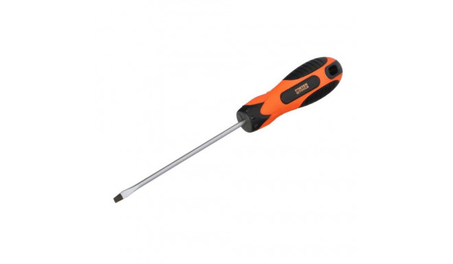 Screwdriver flat 3x100mm FASTER TOOLS