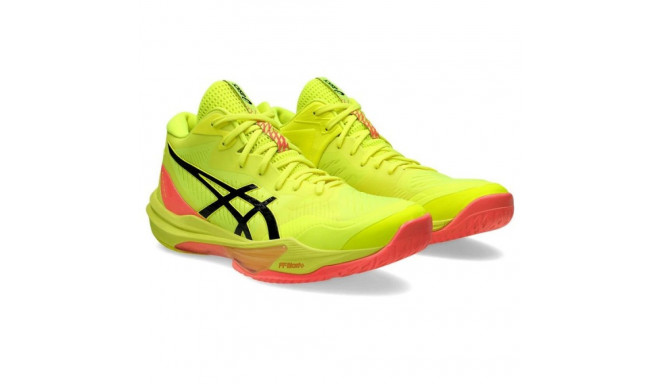 アシックス スカイエリートFF MT3 PARIS （GIÀY ASICS SKY ELITE