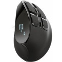 Trust Voxx Ergonomic Mouse