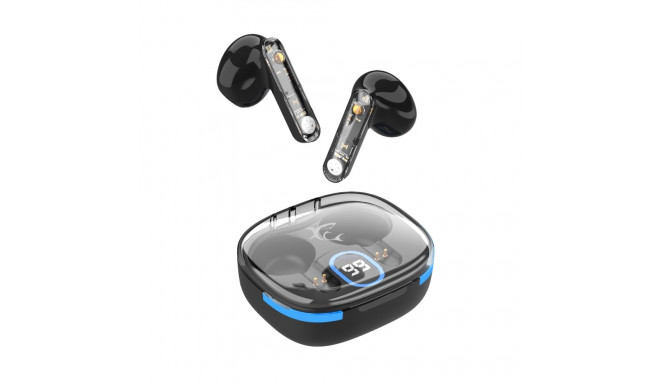 White Shark HYPERBEAT  GEB-TWS37 Black