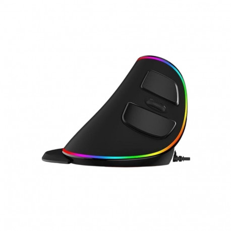 Computer mouse ergonomic Delux XL vertical USB black