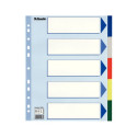 Divider Esselte PP A4+ 5 tabs Multicol