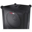 Sharp SumoBox CP-LS200 High Performance Portable Speaker