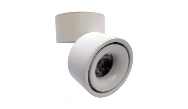 Ceiling lamp TOPE OSLO PRO, 10 W, 1000 lm, 4000 K, IP20, white.