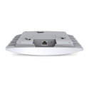 Pöörduspunkt TP-Link EAP110 Valge