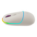 CANYON mouse MW-22 2in1 BT/ Wireless Rice