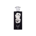 Lattafa Ansaam Silver Eau de Parfum (100ml)