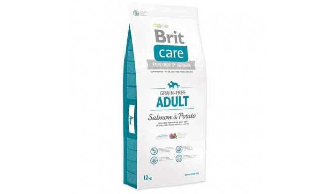 DOG FOOD DRY BRIT CARE ADULT SALM&POTATO