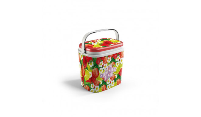 27LT FRUIT PICTURE COOLBOX