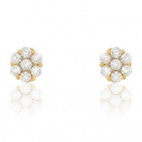 Naiste Kõrvarõngad Stroili 14011047