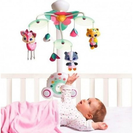 Tiny Love Grow with music The Little Princess World