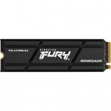 Kingston FURY Renegade 2TB M.2 NVMe SSD jahutusradiaatoriga
