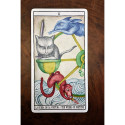 Fournier Tarot Cats Cards