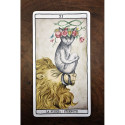 Fournier Tarot Cats Cards