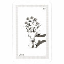 Schiffer Publishing ShadowFox Tarot Cards