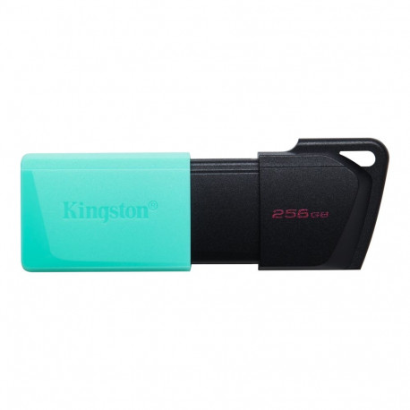 Kingston USB mälupulk DataTraveler Exodia 256GB USB Type-A, must/türkiissinine