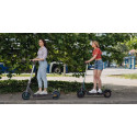 Motus Scooty 10" Lite Electric Scooter