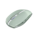 Cherry Gentix BT, mouse (light green)